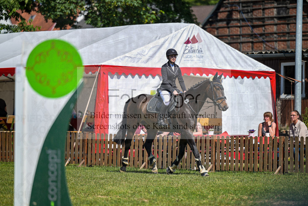 Reitturnier Voxtrup | Entdecke hochwertige Reitturnierfotos von Foto Oger. Professionell, emotional und authentisch – jetzt Lieblingsmomente im Shop bestellen.Deutschlandweite Turnierfotografie. - Realisiert mit Pictrs.com