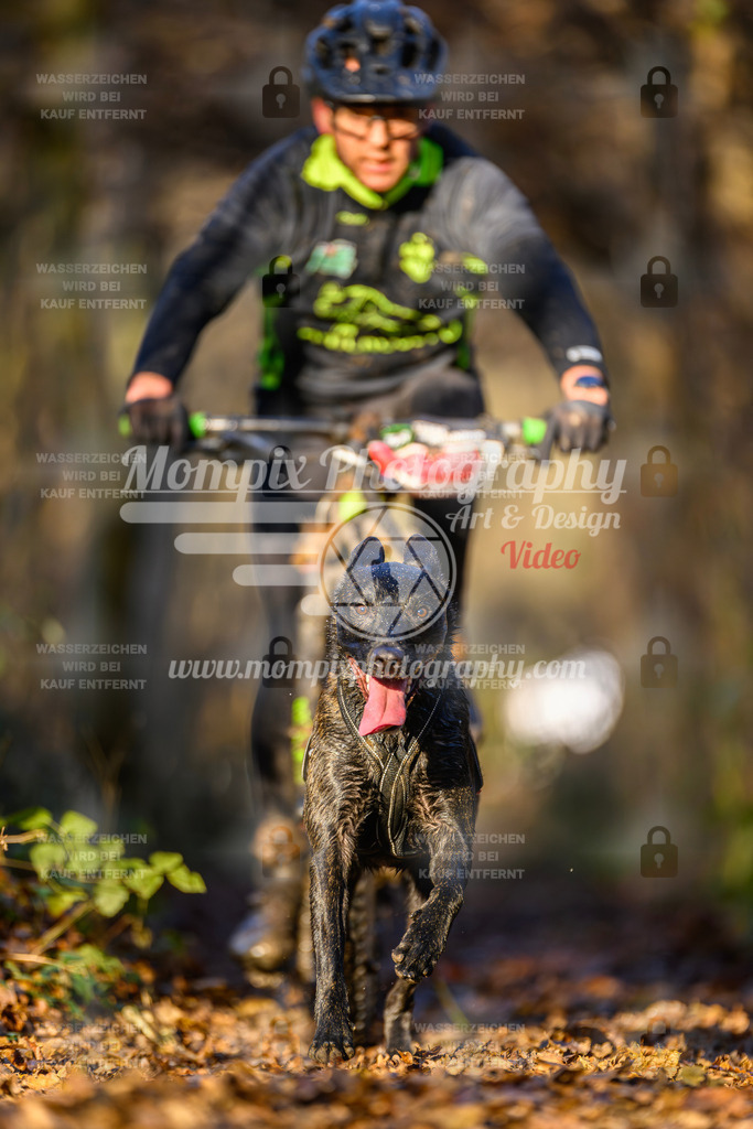 MompixPhotography_Eschau2024_Bike-17 | PayLife