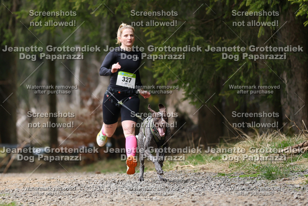 Dog Paparazzi - VCC26-457 | Dog Paparazzi Jeanette Grottendiek Fotografie & Videografie - Realisiert mit Pictrs.com
