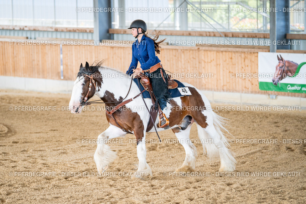 DSC03010 | Pferdegrafie