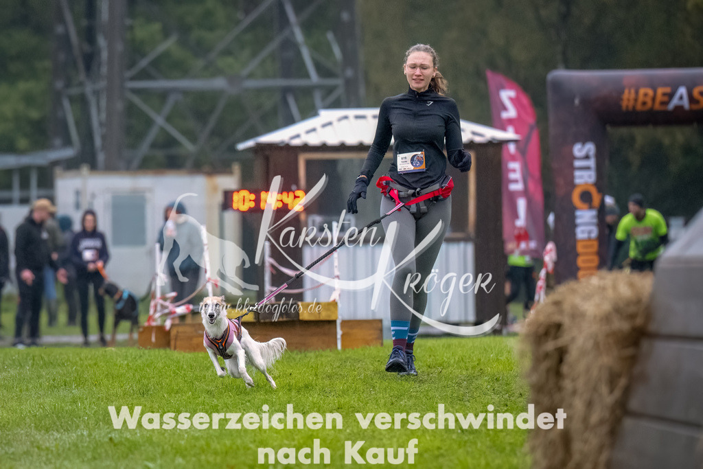 1016--3 | kk-dogfotos