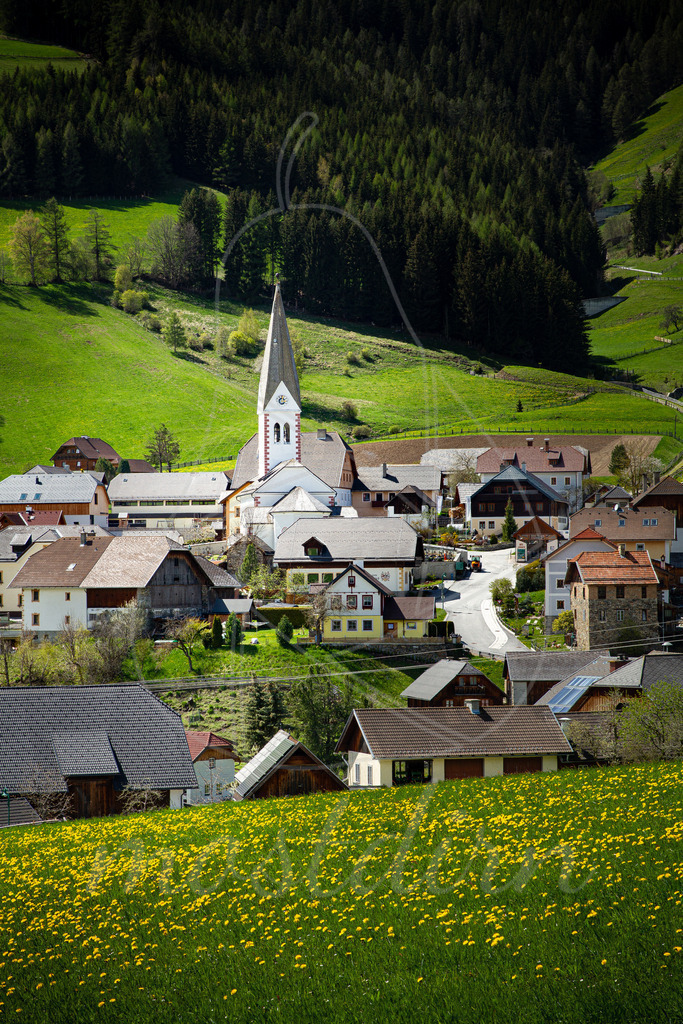 Frühling in Lessach | Bei Veröffentlichung des Bildes ist eine Namensnennung wie folgt erforderlich: Foto: Mostdirn Irmgard Wieser - Realisiert mit Pictrs.com