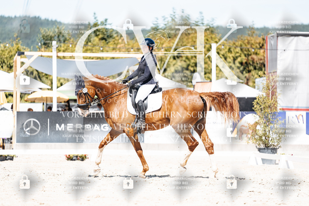 CK900092 | Turnierfotografie Pferdefotografie Trier Rheinland-Pfalz Pferdesport Reitsport Tierfotografie Sportfotografie Pferdevideo Pferdevideografie Equestrianvideography equestrianphotography  - Realisiert mit Pictrs.com