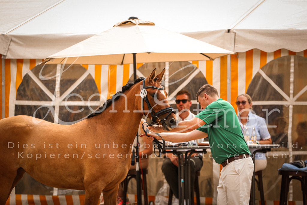 11.So00045 | Leoni Ertmer Photography - Realisiert mit Pictrs.com