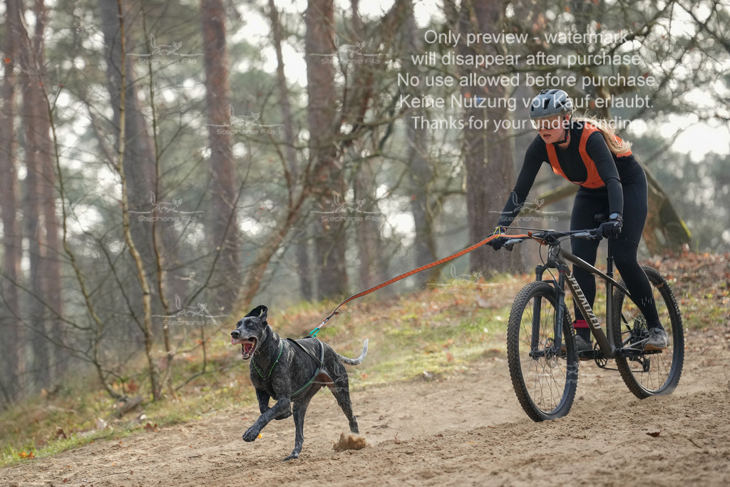 Bike1-115 | stephaniefillaphotographie - Realisiert mit Pictrs.com