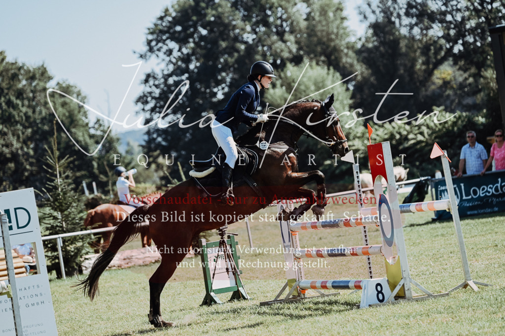 DSC_5881 | Pferde- und Turnierfotografie in Westsachsen. Pferdeportraits, Auftragszeichnungen und intuitive Kunst.