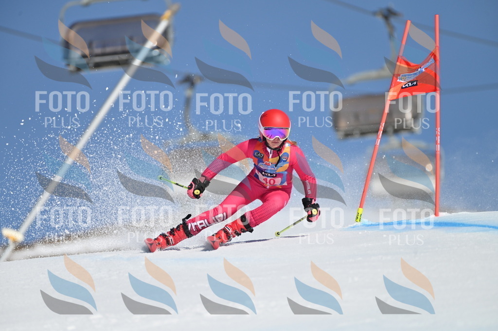 BGV_8346 | holidayphoto