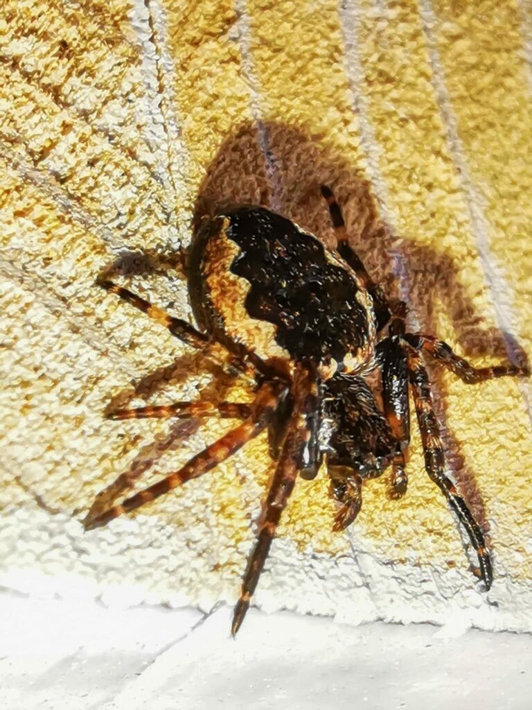 PSX_20221012_232116 | mtkfoto_ - Realisiert mit Pictrs.com