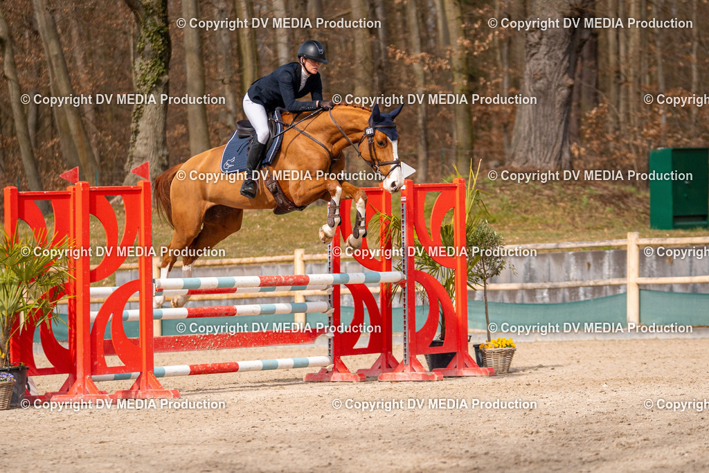 Kranichstein Tag 1-712 | dv-media-shop - Realisiert mit Pictrs.com