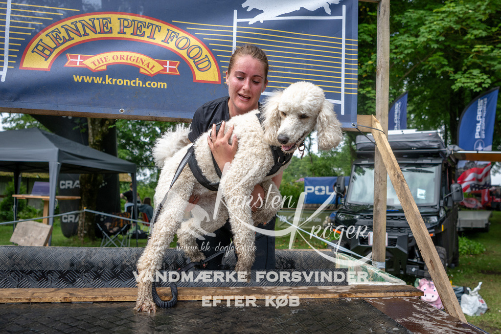 1005_ZZ93918 | kk-dogfotos