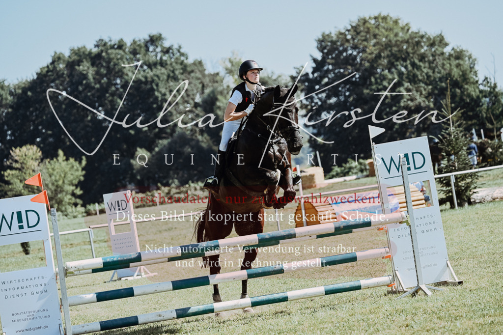 DSC_6001 | Pferde- und Turnierfotografie in Westsachsen. Pferdeportraits, Auftragszeichnungen und intuitive Kunst.
