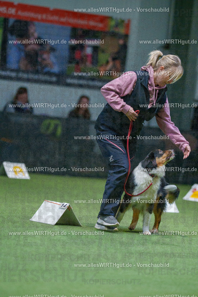 7R501022 | Professionelle Tierfotografie in Mönchengladbach von Daniel Wirth (allesWIRTHgut). Liebevolle & natürliche Bilder von Hunden & Katzen für unvergessliche Erinnerungen.