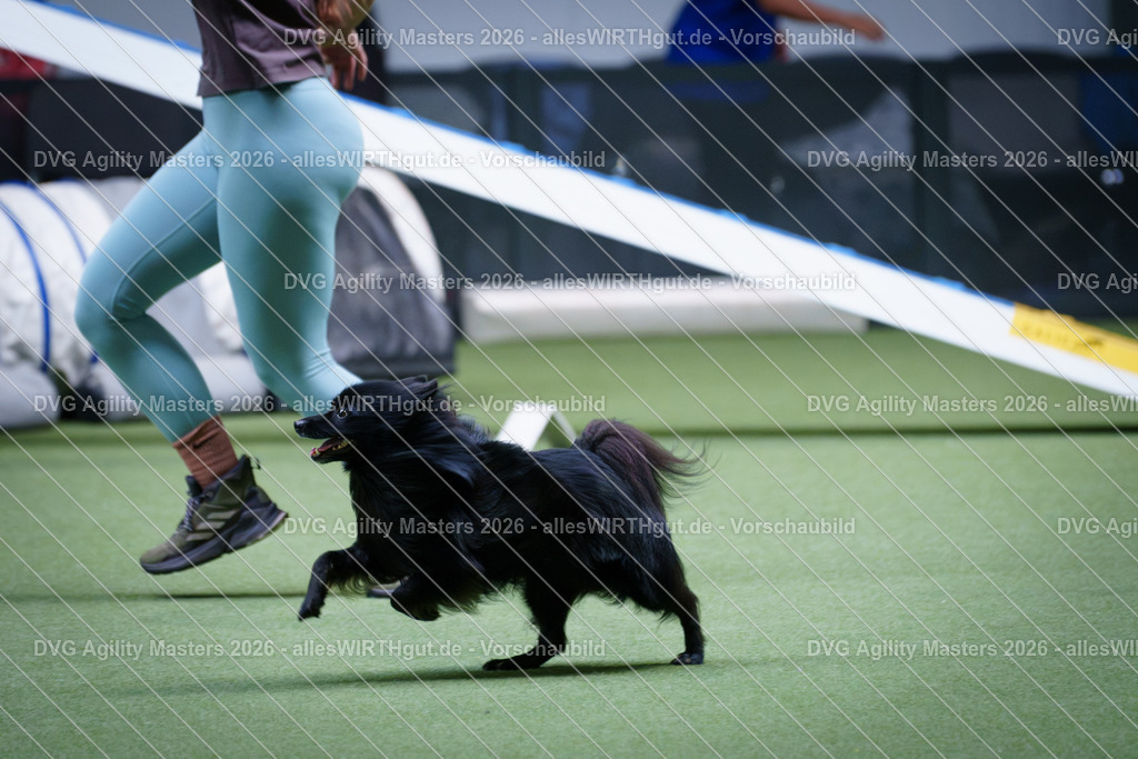 allesWIRTHgut_Tierfotografie-DVG_Agility_Masters_2026-12_29-7R502455 | Professionelle Tierfotografie in Mönchengladbach von Daniel Wirth (allesWIRTHgut). Liebevolle & natürliche Bilder von Hunden & Katzen für unvergessliche Erinnerungen.