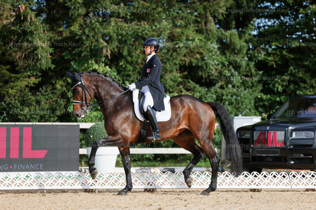 13-110-S___ -StoibPH-6940 | working equitationturnier fotograf videograf stoibphotography marixx film working equitation deutschland reitsport turnierfotografie eventfotografie equestrian events