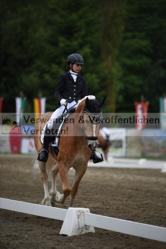 DSC_7959 | equestrian-live-com