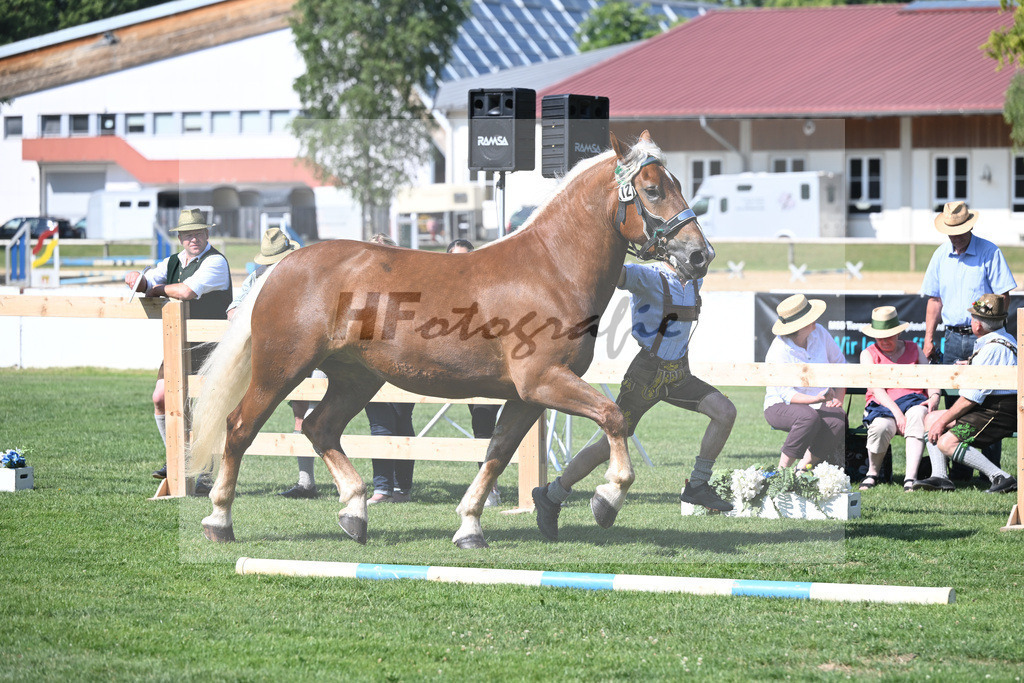 Kat-Nr. 12 Paris_Seebacher_20230192 | hf-fotografie - Realisiert mit Pictrs.com