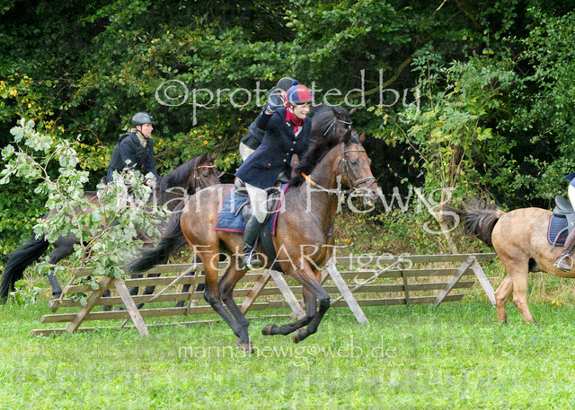 Jagd Perdoel_MarinaHewigMCH04491 | Fotografie, FotoArt, PferdesportArt, Pferdesportfotografie, Landschaftsfotografie, Reisefotografie, Reise, Pferde - Realisiert mit Pictrs.com