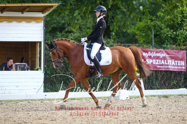 DKP43027 | Turniersportfotografie; Pferdefotografie; Dressurfotografie