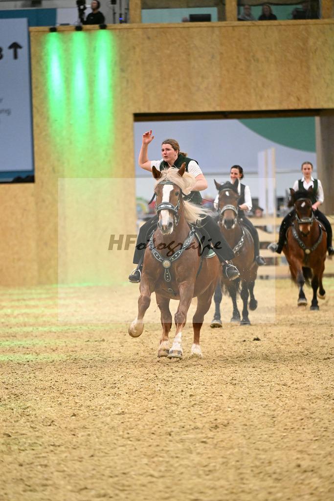 Schauprogramm_Dressurquadrille_1261118 | hf-fotografie - Realisiert mit Pictrs.com