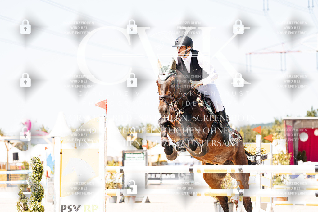 CK900024 | Turnierfotografie Pferdefotografie Trier Rheinland-Pfalz Pferdesport Reitsport Tierfotografie Sportfotografie Pferdevideo Pferdevideografie Equestrianvideography equestrianphotography  - Realisiert mit Pictrs.com