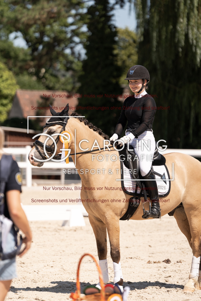 DSC05789 | Dressurturnier_Göppingen_2026, Katharina_Auletta, Maverick