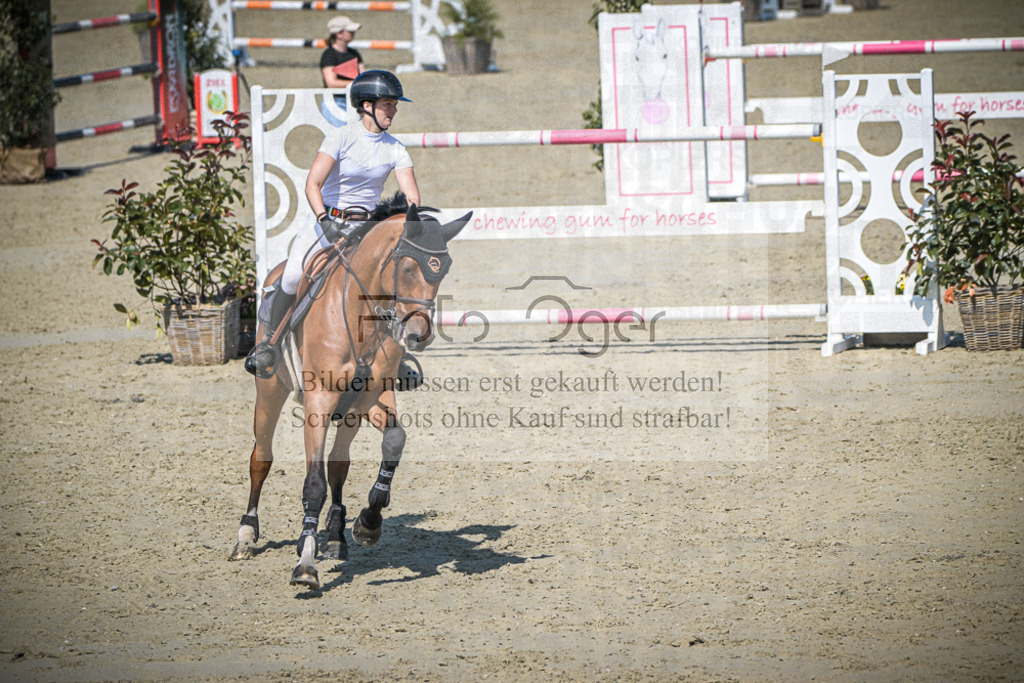 DOS_2421 | Entdecke hochwertige Reitturnierfotos von Foto Oger. Professionell, emotional und authentisch – jetzt Lieblingsmomente im Shop bestellen.Deutschlandweite Turnierfotografie. - Realisiert mit Pictrs.com
