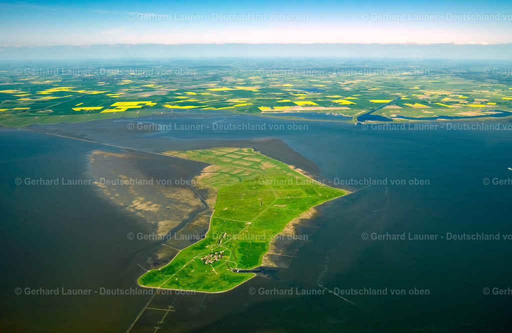 3091353 | Warft Oland, Nationalpark Schleswig-Holsteinisches Wattenmeer