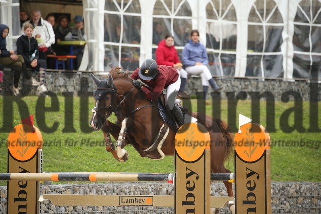 Villingendorf_2022_Prfg.Nr.08_zwei Phasen_Springprfg.Kl.M_Youngster_Elisabeth Meyer_Derrick 121 (8) | Alle Fotos der Reiterjournal Fotografin Doris Matthaes im Reiterjournal Online-Fotoshop. - Realisiert mit Pictrs.com