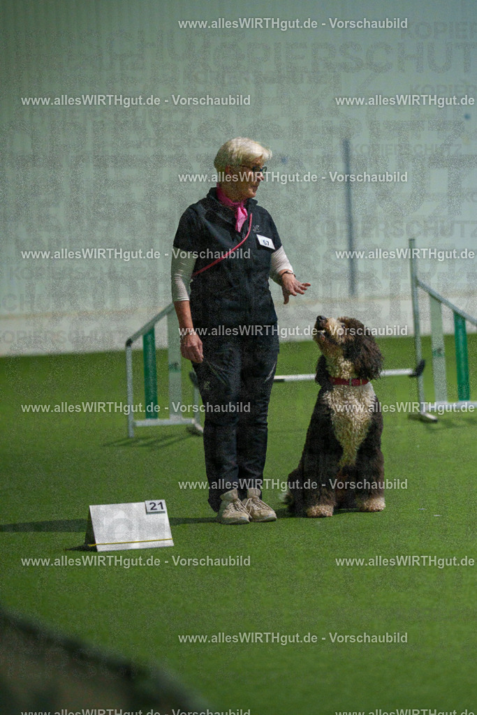7R508099 | Professionelle Tierfotografie in Mönchengladbach von Daniel Wirth (allesWIRTHgut). Liebevolle & natürliche Bilder von Hunden & Katzen für unvergessliche Erinnerungen.