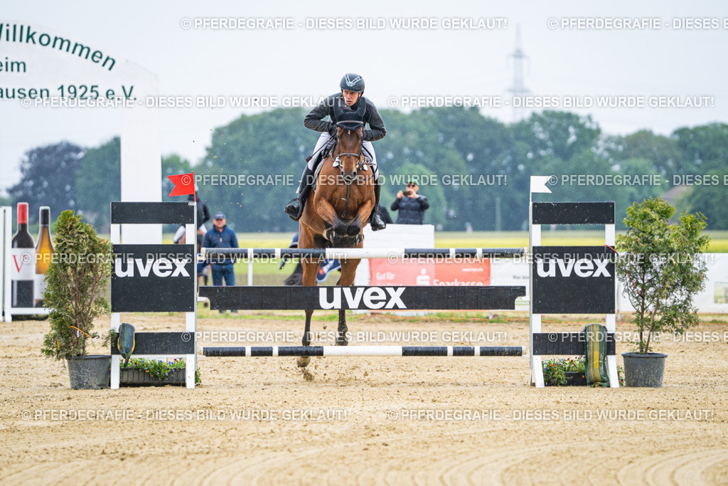 DSC08829 | Pferdegrafie