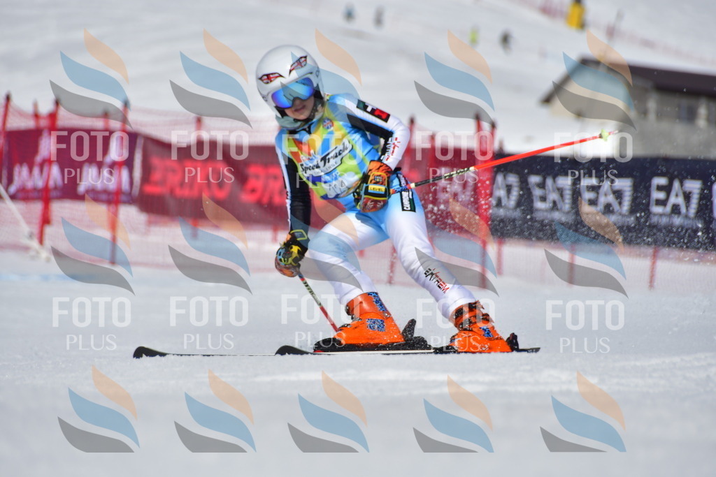 _DSC7795 | holidayphoto