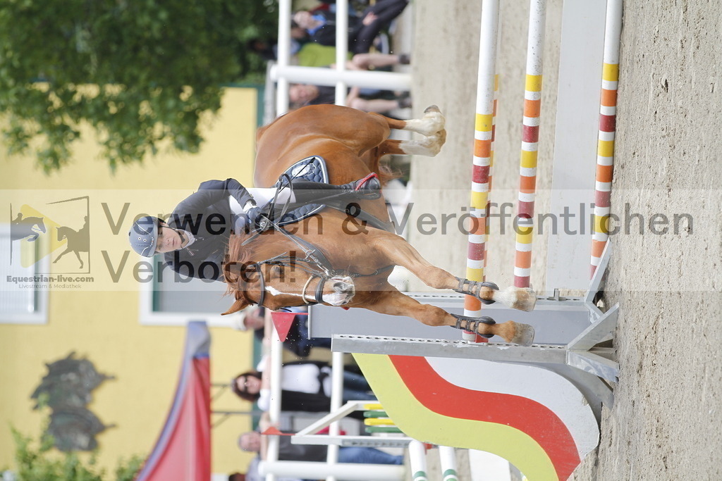 _MG_1352 | equestrian-live-com