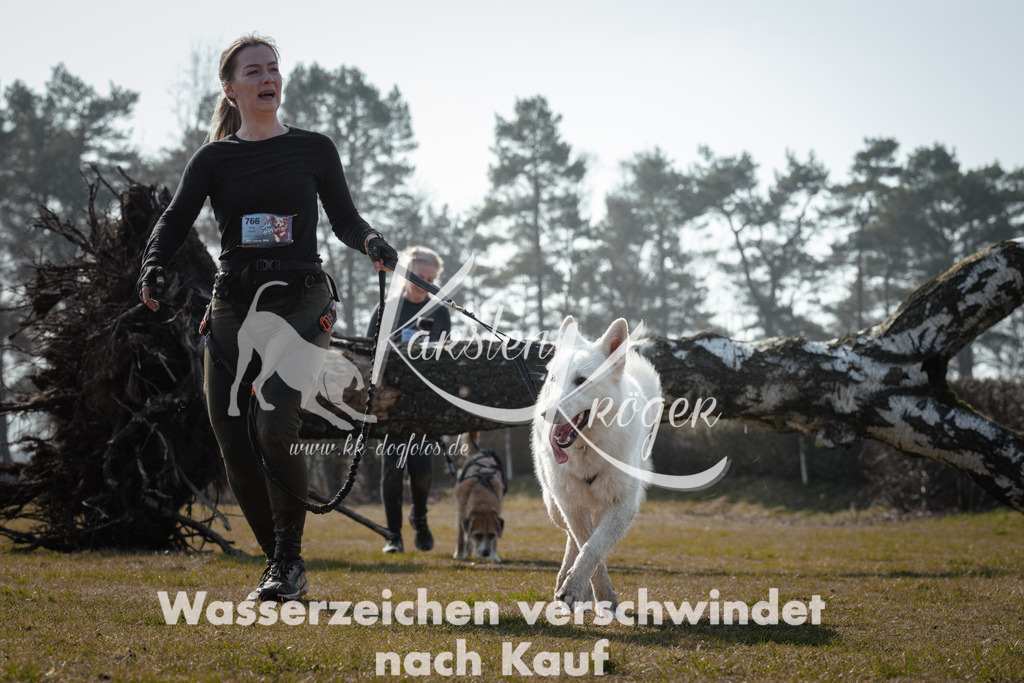 1127_ZZ95196 | kk-dogfotos