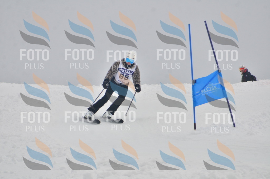 A5725 | holidayphoto