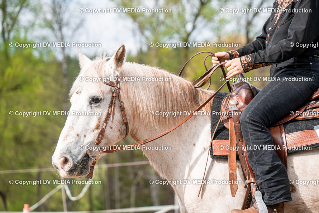 BAL02717 | dv-media-shop - Realisiert mit Pictrs.com