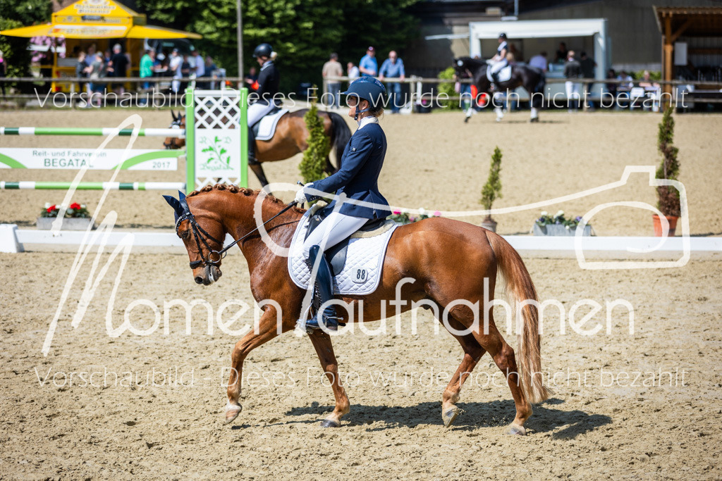 Donop24-L-Dre-085 | MomenTaufnahmen Pferdesportfotos