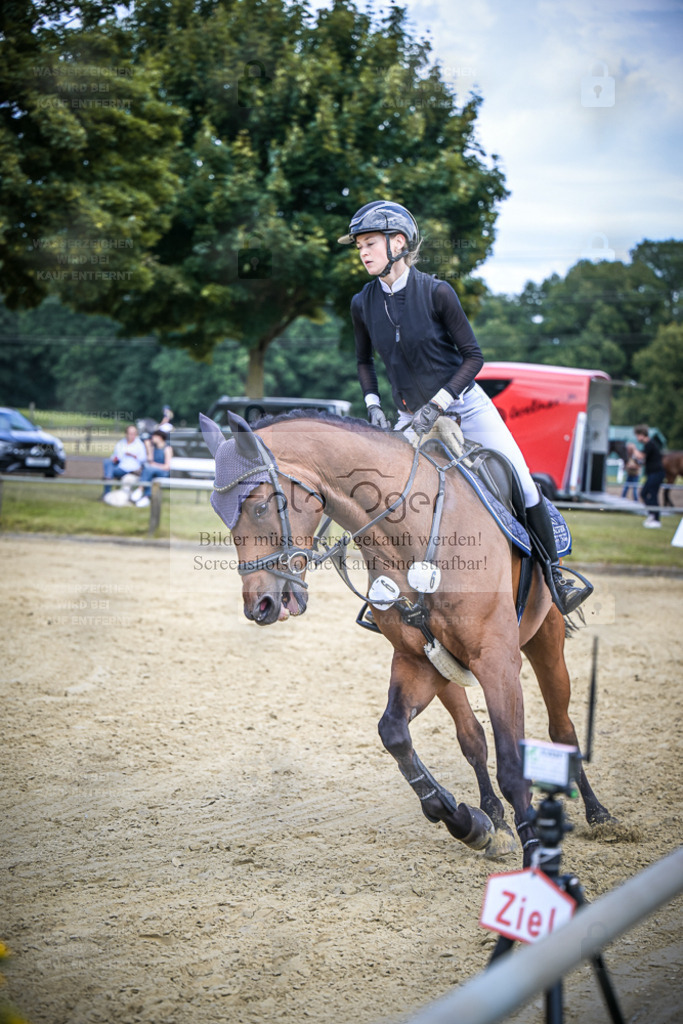 DOS_1974 | Entdecke hochwertige Reitturnierfotos von Foto Oger. Professionell, emotional und authentisch – jetzt Lieblingsmomente im Shop bestellen. - Realisiert mit Pictrs.com