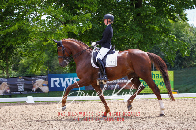 DKP41193 | Turnierfotos kaufen im Webshop von Daniel Kuhl Photography – entdecke professionelle Reitsportfotos aus Turnieren & Events. Hochwertige Turnierbilder online bestellen & sichern. Jetzt Fotos von Reitsportturnieren kaufen!