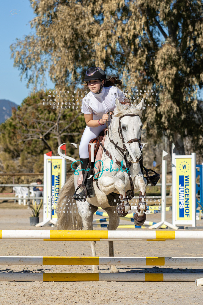 IMG_8596 | s-jay-photography - Realisiert mit Pictrs.com