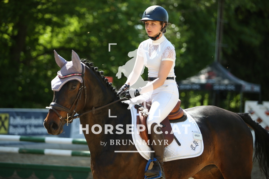 PP011948 | Willkommen bei Brunnmayr - Design & Fotografie – Ihrem Spezialisten für Reitturniere und Pferdeveranstaltungen in Oberösterreich, Salzburg und Bayern! Seit über 17 Jahren sind wir leidenschaftlich dabei.