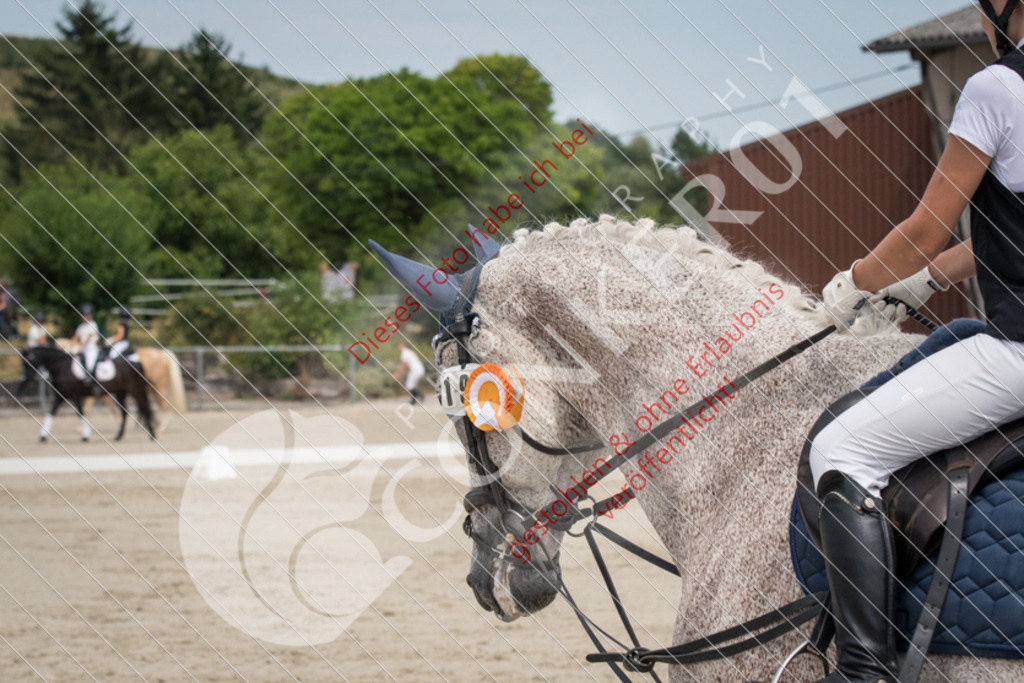 ND5_8021 | Sport-, Event- und Tierfotos in Profiqualität. Einfach auswählen, bestellen und herunterladen. Dein Moment – perfekt festgehalten.
