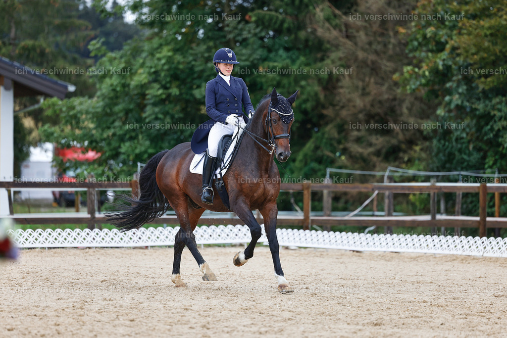 8_2-056-DRESSUR S_  -StoibPH-4410 | working equitationturnier fotograf videograf stoibphotography marixx film working equitation deutschland reitsport turnierfotografie eventfotografie equestrian events