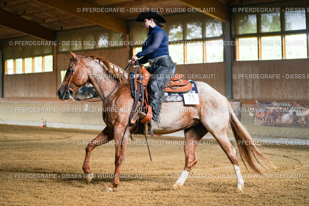 DSC05328 | Pferdegrafie