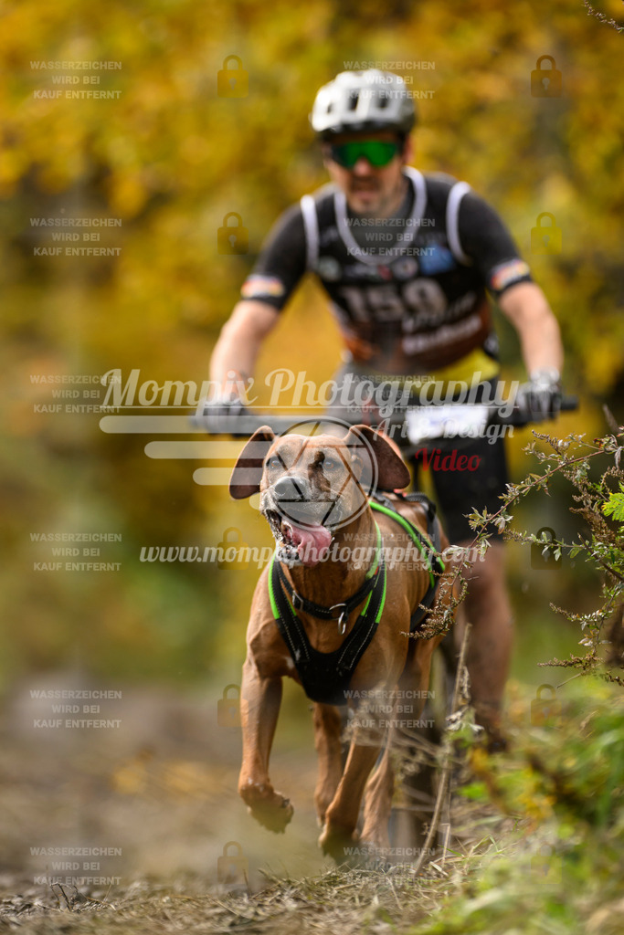 MompixPhotography_ICF_WC_2024_SA_Bike_-204 | PayLife