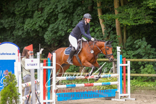 DKP45014 | Turnierfotos kaufen im Webshop von Daniel Kuhl Photography – entdecke professionelle Reitsportfotos aus Turnieren & Events. Hochwertige Turnierbilder online bestellen & sichern. Jetzt Fotos von Reitsportturnieren kaufen!