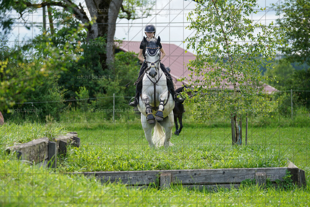 20240622-FAH07971 | Turnierfotografen Bayern, Reitsportbilder aus dem Geländekurs mit Felix Etzel auf dem Gut Waitzacker 2024