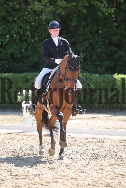 Böblingen_2025_Prfg.Nr.08_Dressurprüfung_Kl.M_Nürnberger Burgpokal_Hanna Käppler_Vitasprint (4) | Alle Fotos der Reiterjournal Fotografin Doris Matthaes im Reiterjournal Online-Fotoshop. - Realisiert mit Pictrs.com