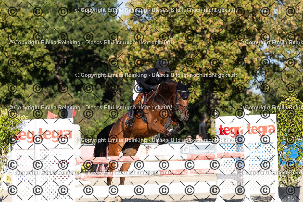 CL5A4344 | Emilia Reinking Fotografie - Realisiert mit Pictrs.com