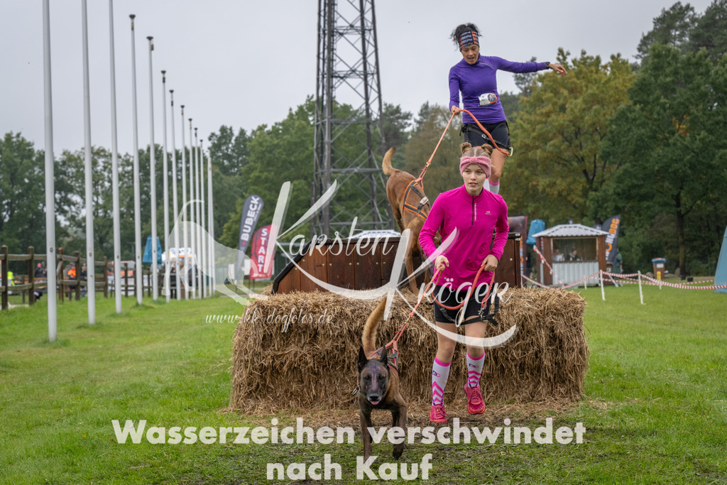 1329-93713 | kk-dogfotos