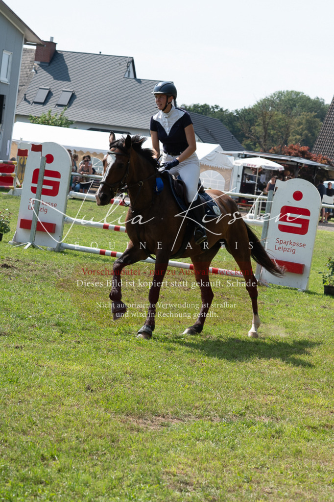 DSC_0693 | Pferde- und Turnierfotografie in Westsachsen. Pferdeportraits, Auftragszeichnungen und intuitive Kunst.